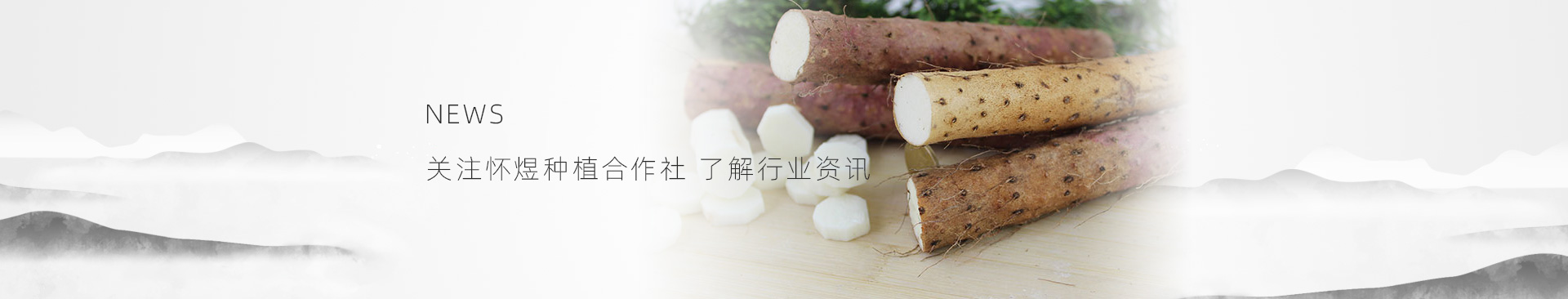 怀煜种植专业合作社