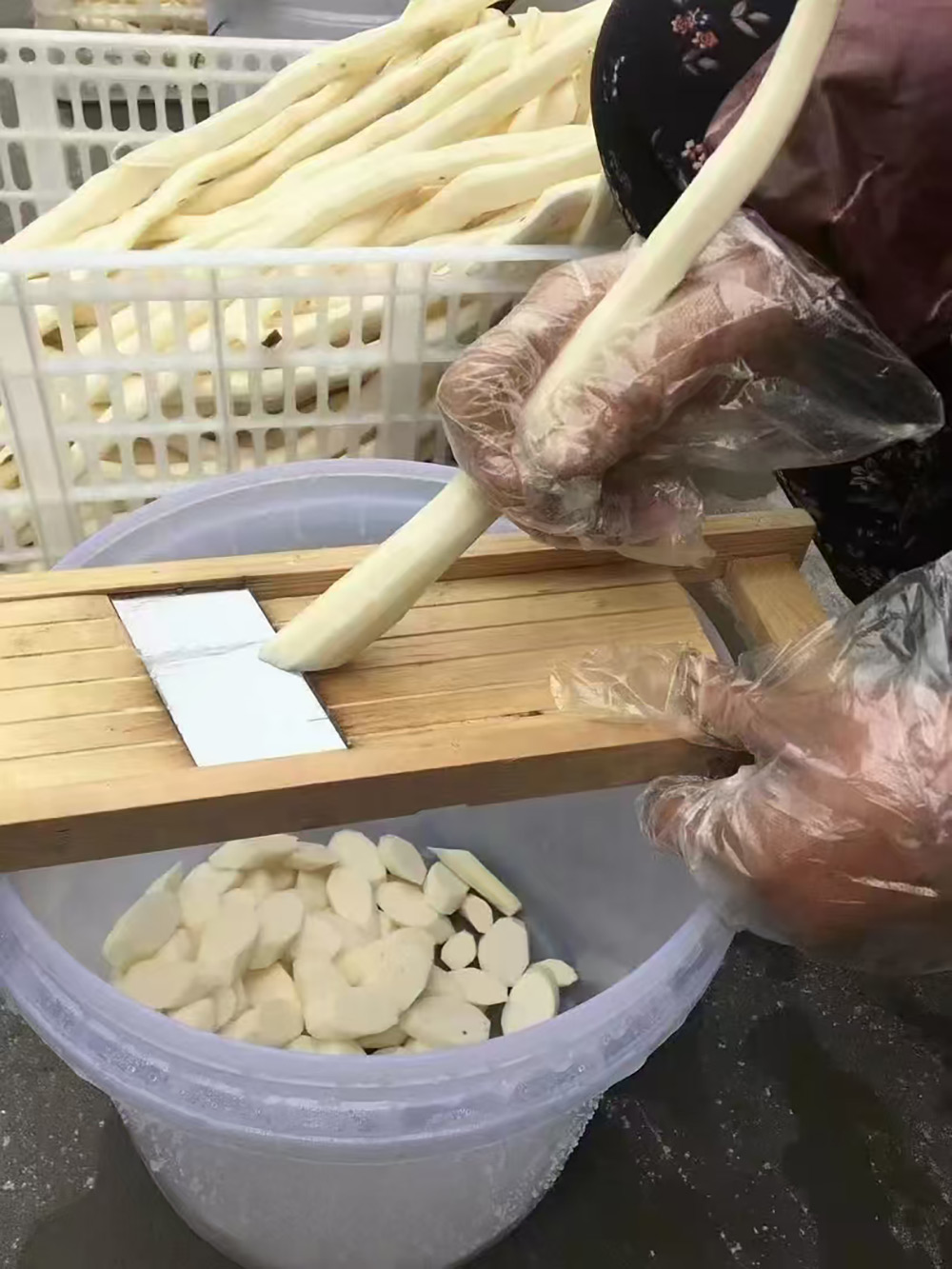 微信图片_20241231163800.jpg
