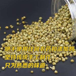 怀胎菊